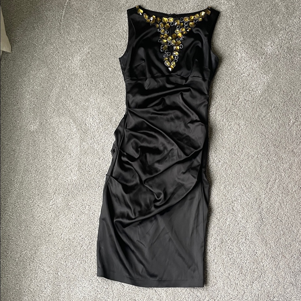 Cache Fitted Dress